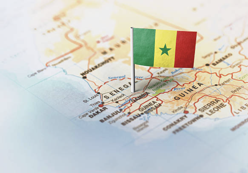 Speech-Language Pathology in Senegal