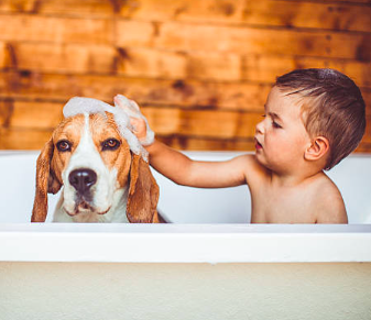 bathtime vocabulary for kids